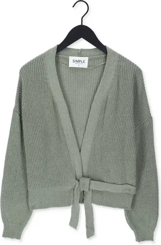 Simple Knitted Cardigan Rosey Es Truien & vesten Dames - Sweater - Hoodie - Vest- Groen