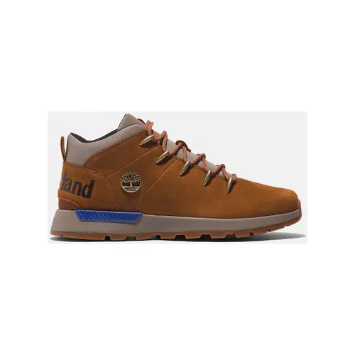 Sneakers Timberland Sptk mid lace sneaker