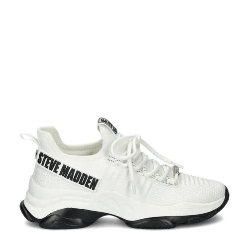 Steve Madden Mac2 dad sneakers