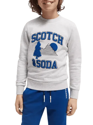 Sweater van biologisch katoen met artwork - Maat 16 - Multicolor - Jongen - Trui - Scotch & Soda