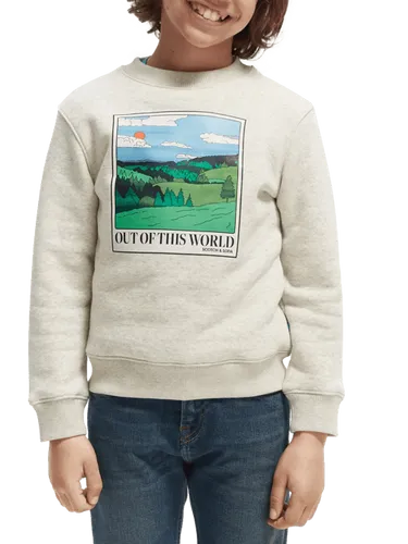 Sweater van biologisch katoen met ronde hals en artwork - Maat 16 - Multicolor - Jongen - Trui - Scotch & Soda