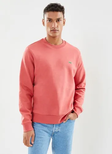 Sweatshirt SH9608 by Lacoste
