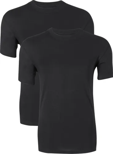 Ten Cate Basic heren T-shirts O-hals - 2-pack - zwart