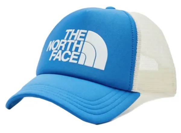 The North Face Logo Trucker skate cap