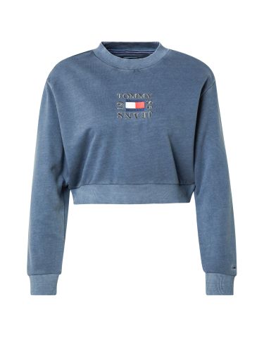 Tommy Jeans Sweatshirt  duifblauw / grijs / rood / wit