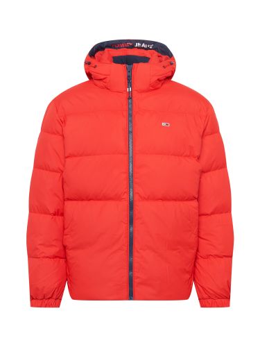 Tommy Jeans Winterjas  rood / wit / navy