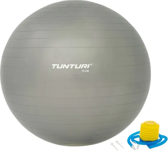 Tunturi Anti Burst Fitness bal met Pomp - Yoga bal 75 cm - Pilates bal - Zwangerschapsbal – 220 kg gebruikersgewicht - Incl Trainingsapp – Zilver