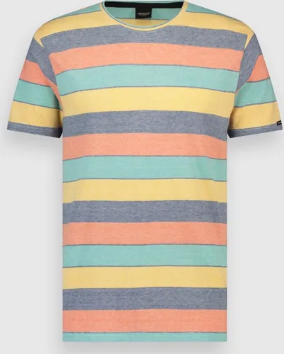 Twinlife Heren T. Crew Stripes - T-Shirts - Wasbaar - Ademend - Meerkleurig - 2XL